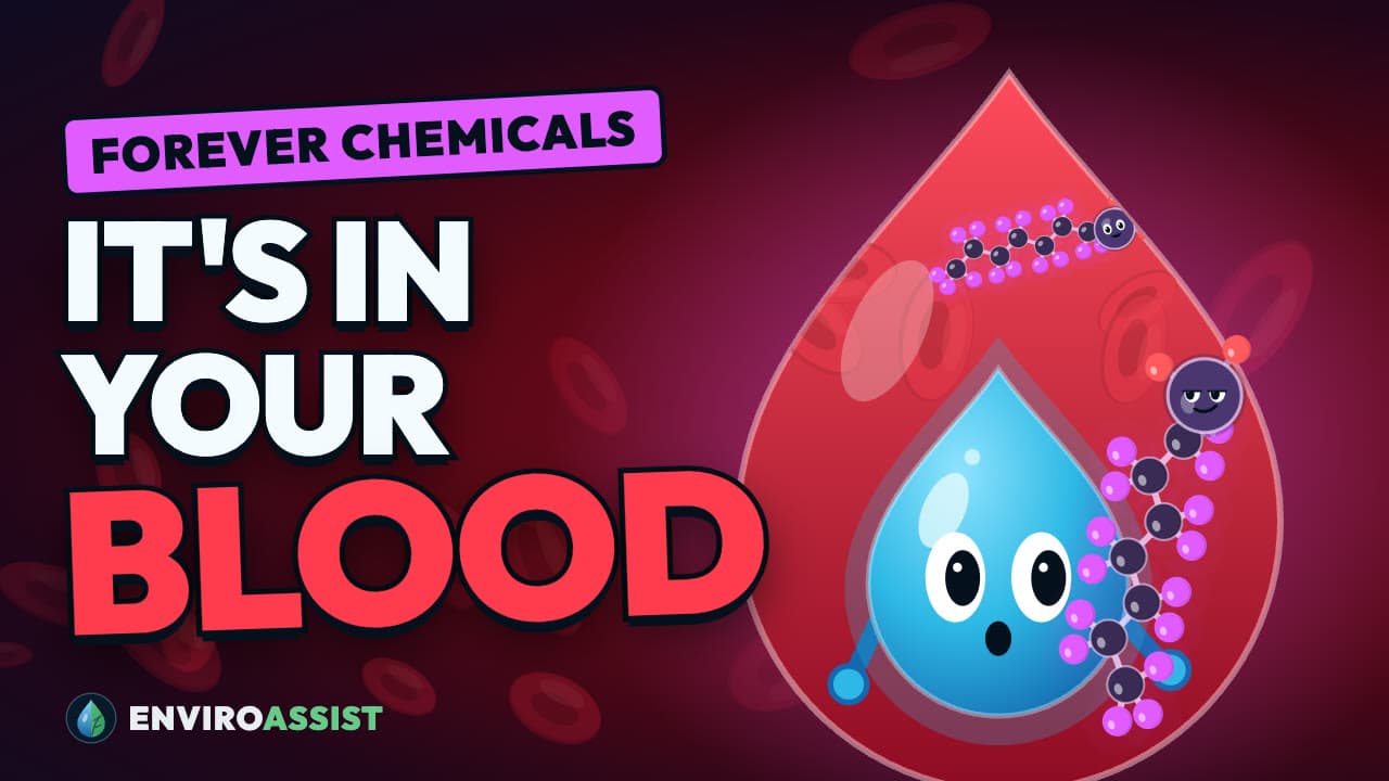 Thumbnail for the EnviroAssist video Forever Chemicals